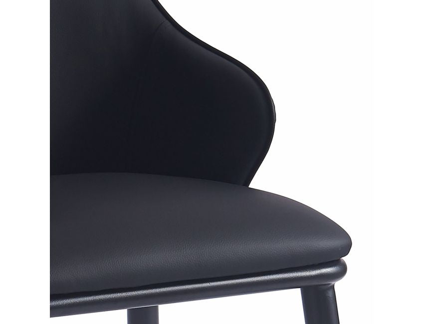 Black Dining Chair (Set of 2)